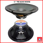 Salcon 12" Pro Audio Woofer (316)