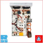 Salcon 4440 IC D40 Audio Amplifier with Relay New Generation (920) -2025 - Image 2
