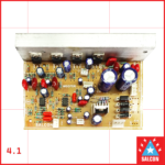 Salcon 4.1 2030 IC Based Amplifier Module (170)