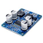 60w Mono Amp Module (180)