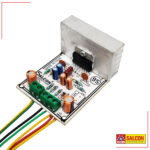 Salcon 7294 Mono Amplifier (181)