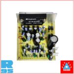 Salcon STK4392 Stereo with Bass & Treble, Inbuilt 5v Supply (918) -2025 - Image 3