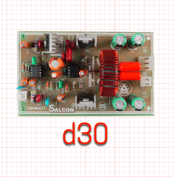 Salcon Class-D 300W Mono Amplifier Board (D30)
