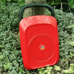 Salcon Galli Box Speaker & DIY Kit (250)