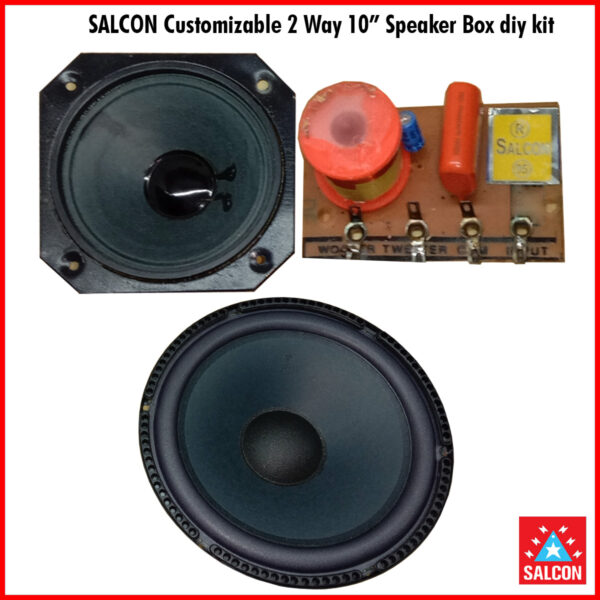 Salcon Customizable 2 Way 10” Speaker DIY kit (293)